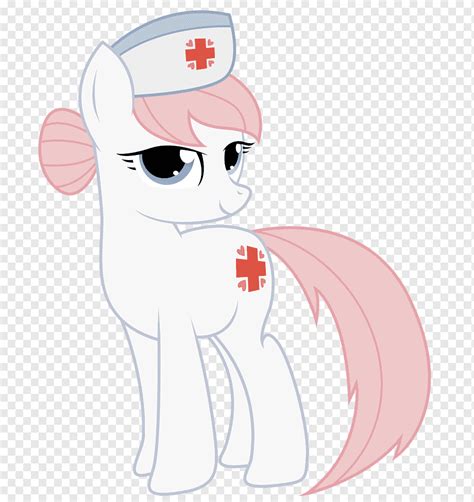 mlp nurse practitioner